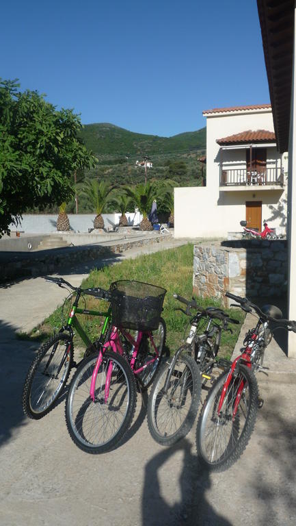 Nautilus Βραχυχρονια Μισθωση Appartamento Città di Skopelos Esterno foto